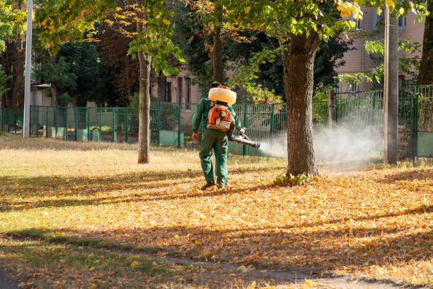 Best Bird Control  in USA